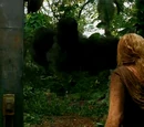 Dreams and visions/Theories