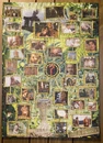 Puzzle-2-TheOthers.jpg