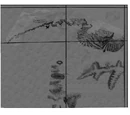 Ben's maps