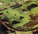Shire