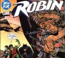 Robin Vol 4 47