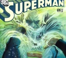 Superman Vol 1 676