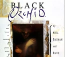 Black Orchid (Collections) Vol 1 1