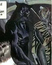 Wildcat Huntress Earth-22.png