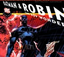 All Star Batman and Robin, the Boy Wonder Vol 1 2