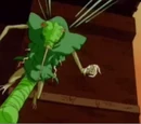 Moe the Bug
