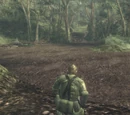 Dremuchij