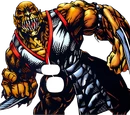 Baraka (Cómics)