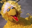 Big Bird Filmography