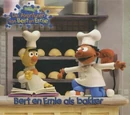 De avonturen van Bert en Ernie (books)