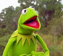 On the Set with Kermit