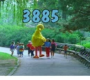Episode 3885