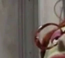 Shirley (Muppet Meeting Films)