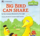 Big Bird Can Share