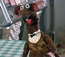Masterson Rat