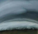 Cyclone gale