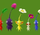 Pikmin (species)