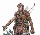 Ranger
