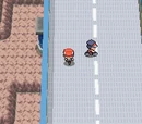 Pokémon Diamond/Pearl Walkthrough (Part 4)