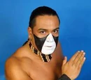 Navajo Warrior
