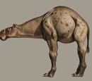Falumpaset