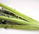 Stalk vegetables