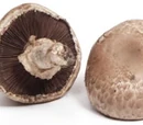 Portobello mushroom