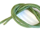 Yard-long bean