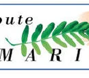 Route des Tamarins