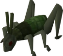 Locust