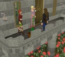 Romeo & Juliet