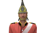 Royal Guard (servant)