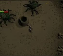 Kalphite Guardian