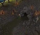 Phoenix Lair