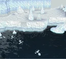 Iceberg