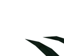 Dagannoth Supreme