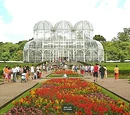 Curitiba