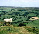 Yorkshire and the Humber Resources