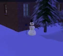 Objects in Seasons (The Sims 2)