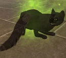 Spectral cat
