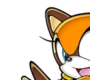 Marine the Raccoon