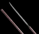 Hidden Sword