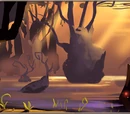 Swamp