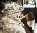 Dust bug