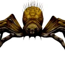 Webweaver