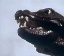 Skarasen