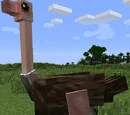 Ostriches