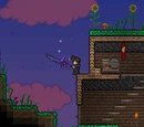 Night's Edge