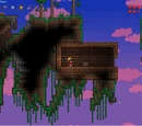 Exploration Guide