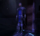 Common Sword Guard